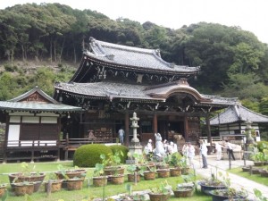 三室戸寺、醍醐寺、元慶寺に行って来ました。