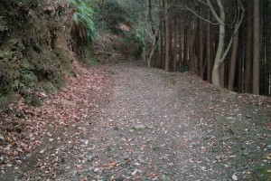 岩間山への道