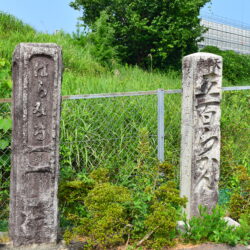 京都５ヶ寺を徒歩巡礼。