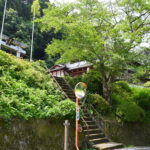 彦根から醒ヶ井まで歩く。