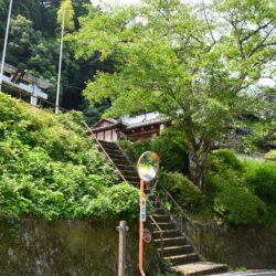 京都５ヶ寺を徒歩巡礼。