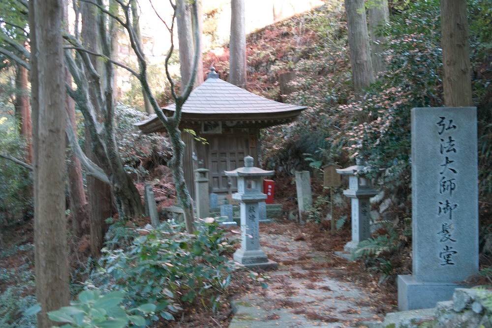 春です、京都市内５ヶ寺