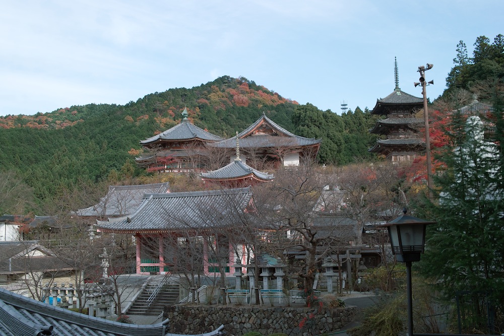 春です、京都市内５ヶ寺